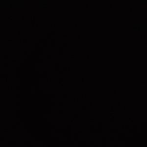 Meet your Posher, Charmane